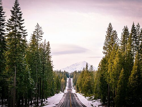 Eine gerade, von Schnee und hohen Kiefern gesäumte Straße führt zu einem fernen, schneebedeckten Berg unter einem rosafarbenen Himmel, der an Ruhe und Abenteuer erinnert.